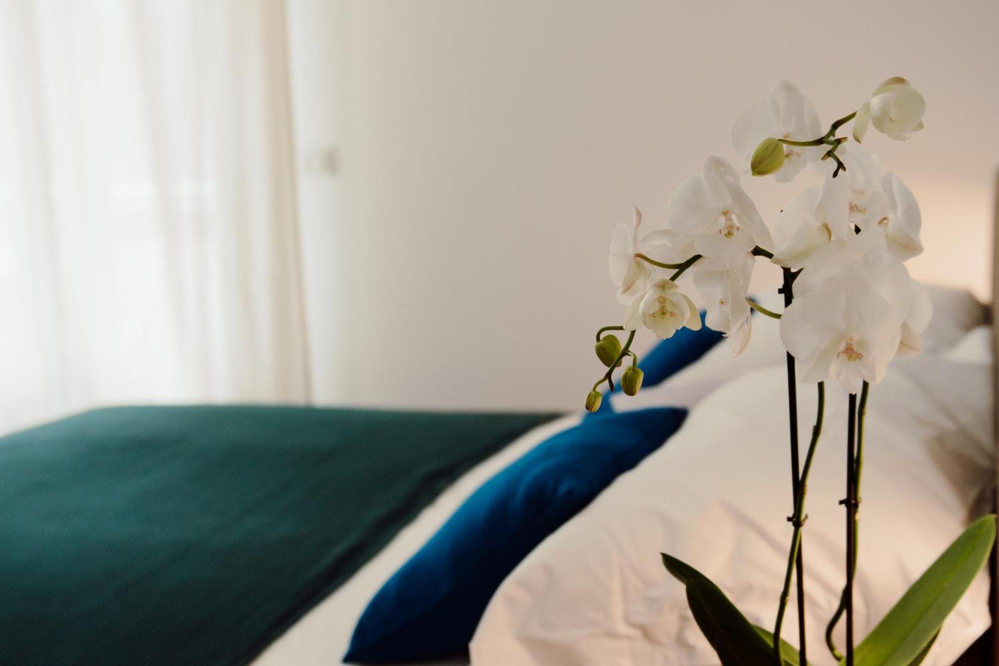 Sweet Dreams Hotel Civitavecchia Luaran gambar